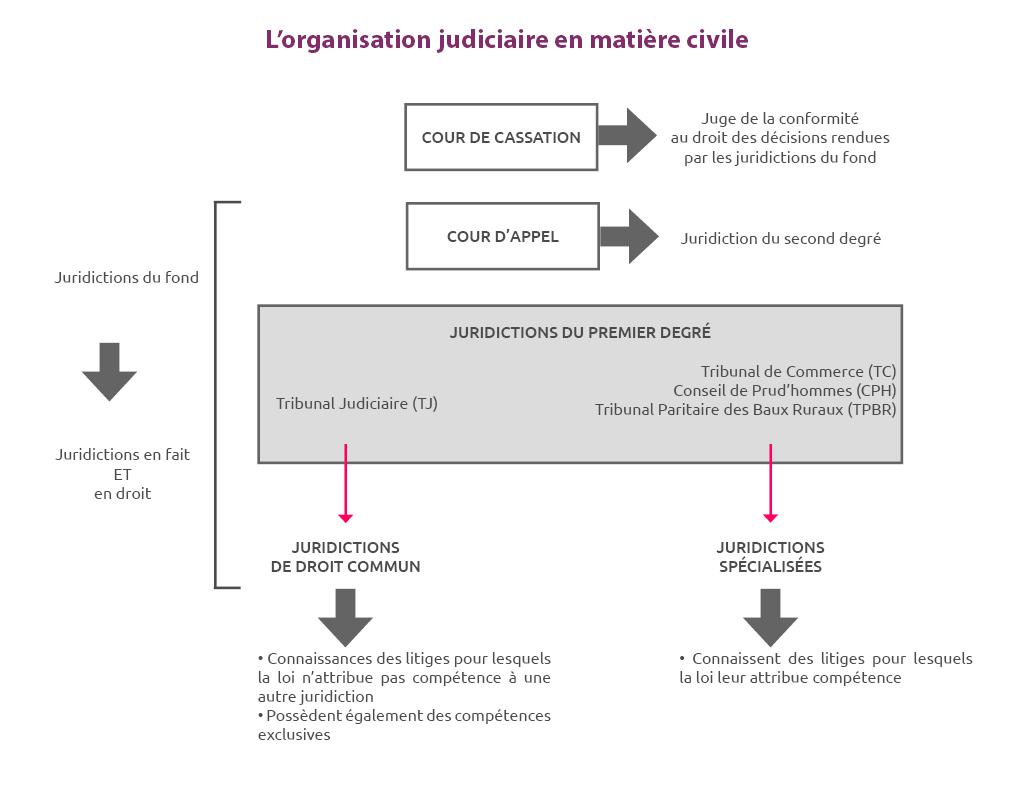 Comprendre la nomenclature d&rsquo;intimé : clés et enjeux